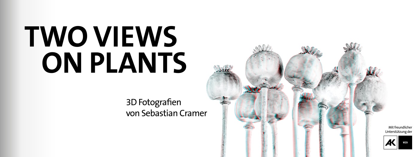 : Banner zur aktuellen Ausstellung Two Views on Plants