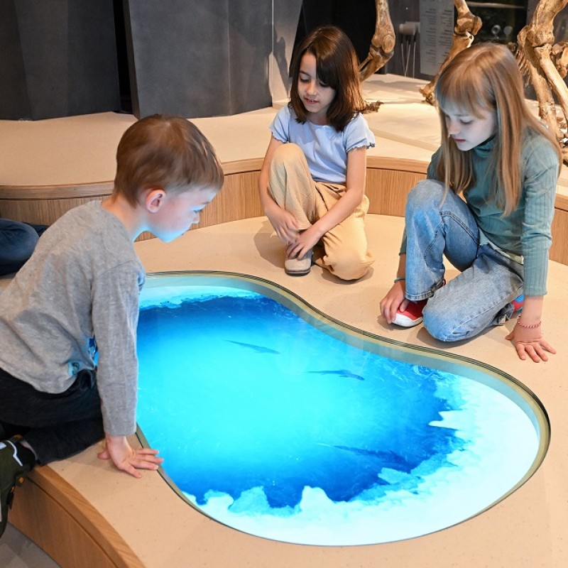 : Vier Kinder auf einem Podest mit Bildschirm, der wie ein See aussieht.