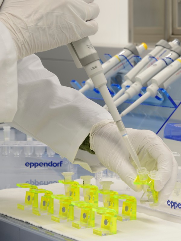 : Gloved hands pipetting liquid into yellow sample containers on a lab table with multiple pipettes in the background (AI-generated alt-text, generated with GPT-4.1-mini)