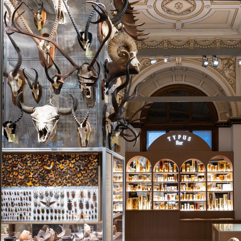 Gutes Sammeln – Böses Sammeln: Ausstellungssaal mit einem Turm, auf dem viele Geweihe, Schmetterlinge, Käfer und Tonscherben zu sehen sind. Dahinter ein in Form einer Bar gefertigte Regale, in denen Typus-Exemplare stehen.