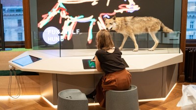 : Young woman sits at an exhibition station in front of a mounted wolf and looks at a screen; above, glowing outline drawings of a wolf. (AI-generated alt-text, generated with GPT-4.1-mini)